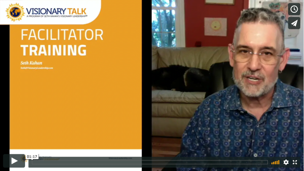 facilitator visionary leadership