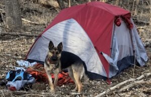 Camping Season has Arrived